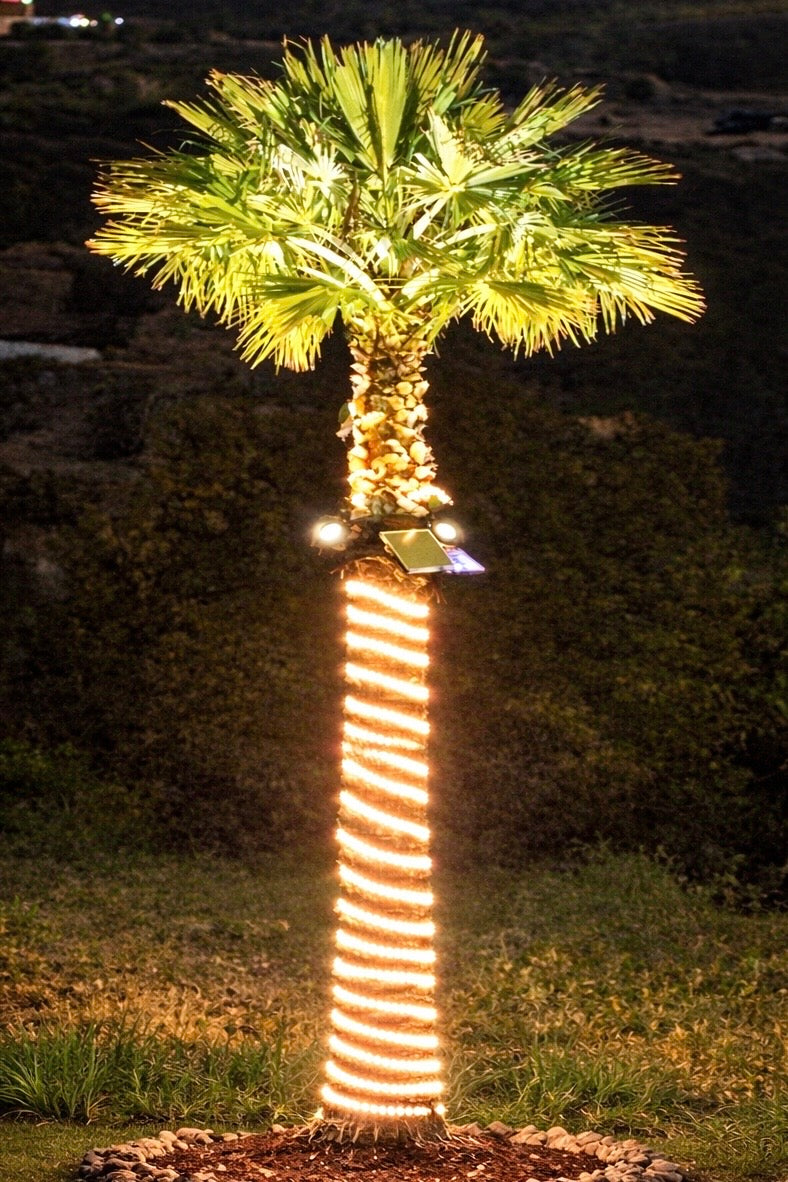 Palm Aura™