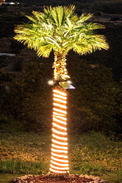 Palm Aura™