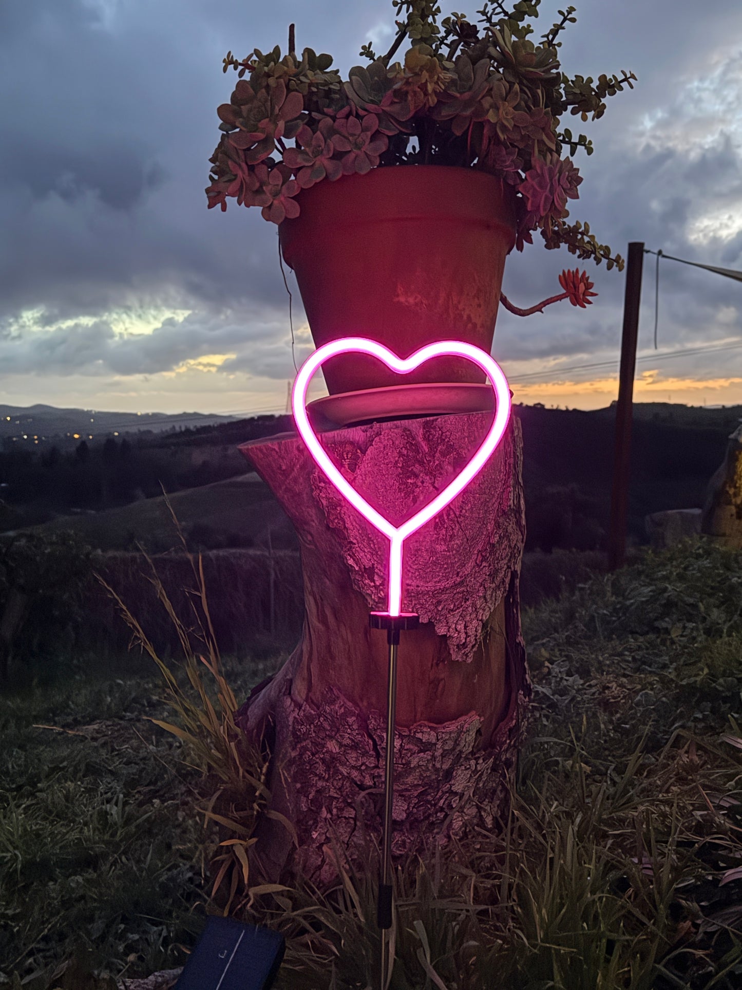 Neon Glowies