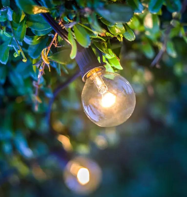 Edison Twilight