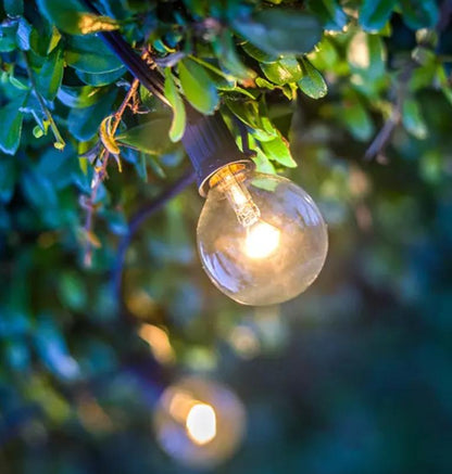 Edison Twilight